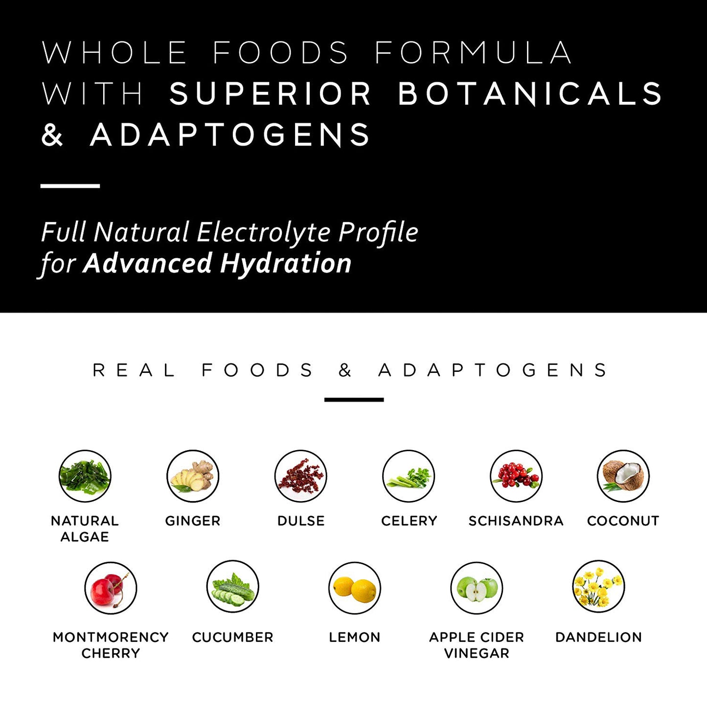 Whole Food Electrolyte Powder