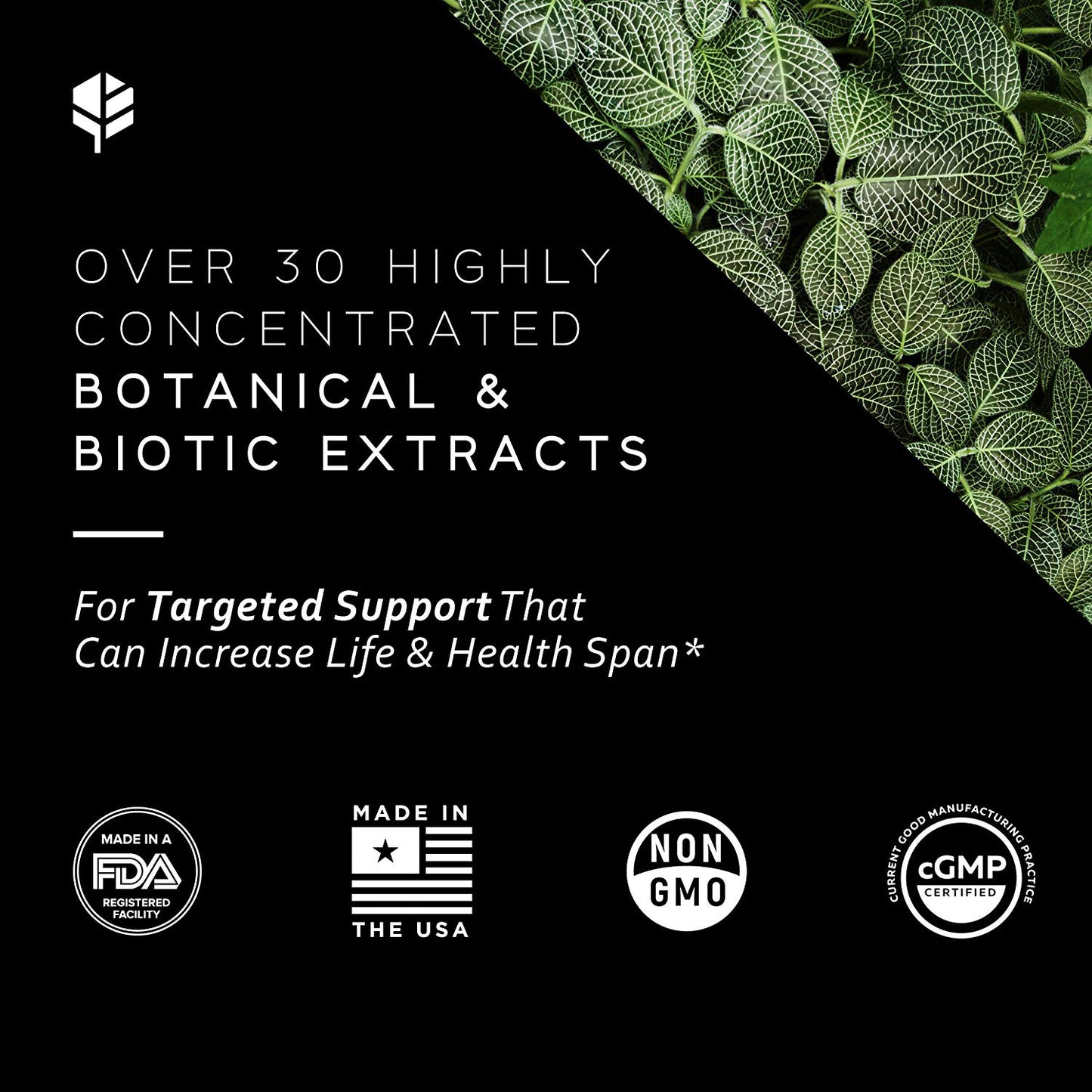 Primitive Scientific Men's Multivitamin & Multimineral Capsules
